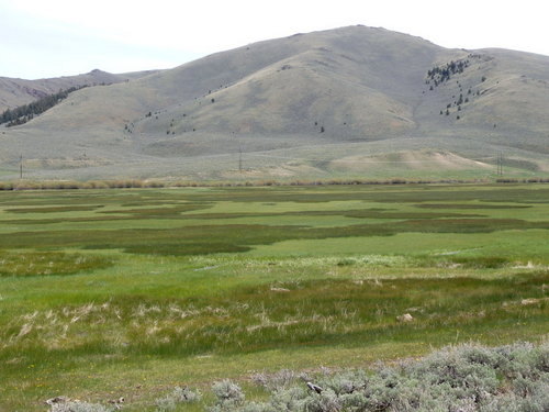 GDMBR: quilt of different colored grasses.